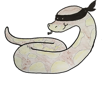 ninja-python-distributions-logo.png