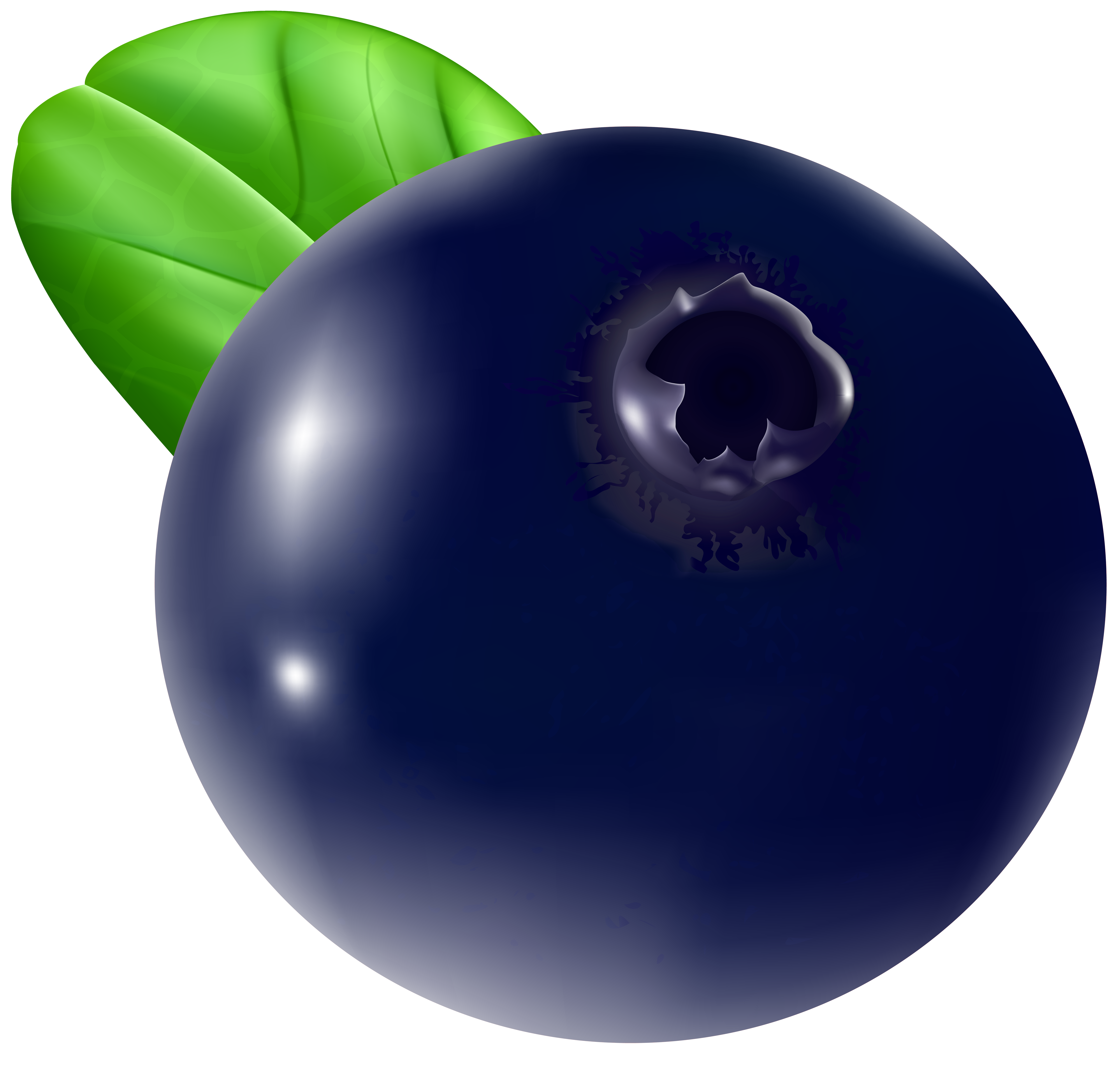 Blueberry1.png