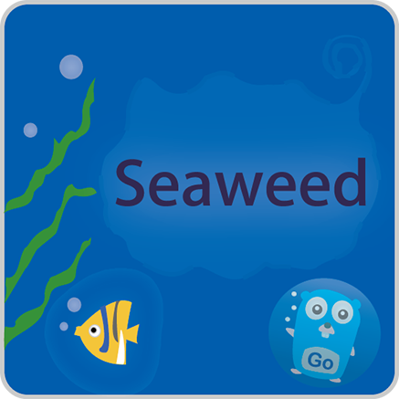 seaweedfs/seaweedfs
