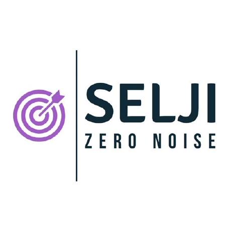 selji-wordpress-ai-seo-prompts