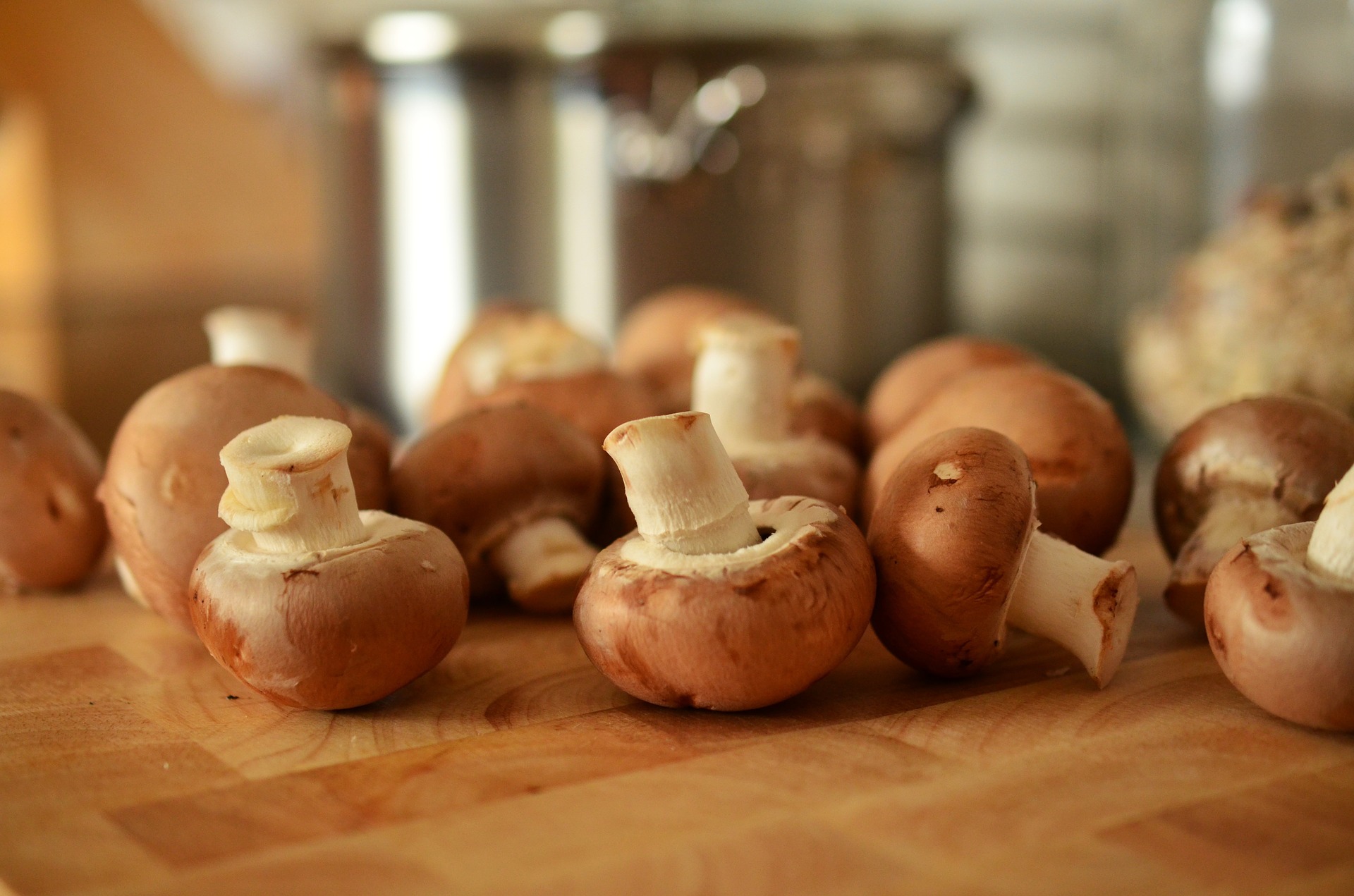 mushrooms-image.jpg