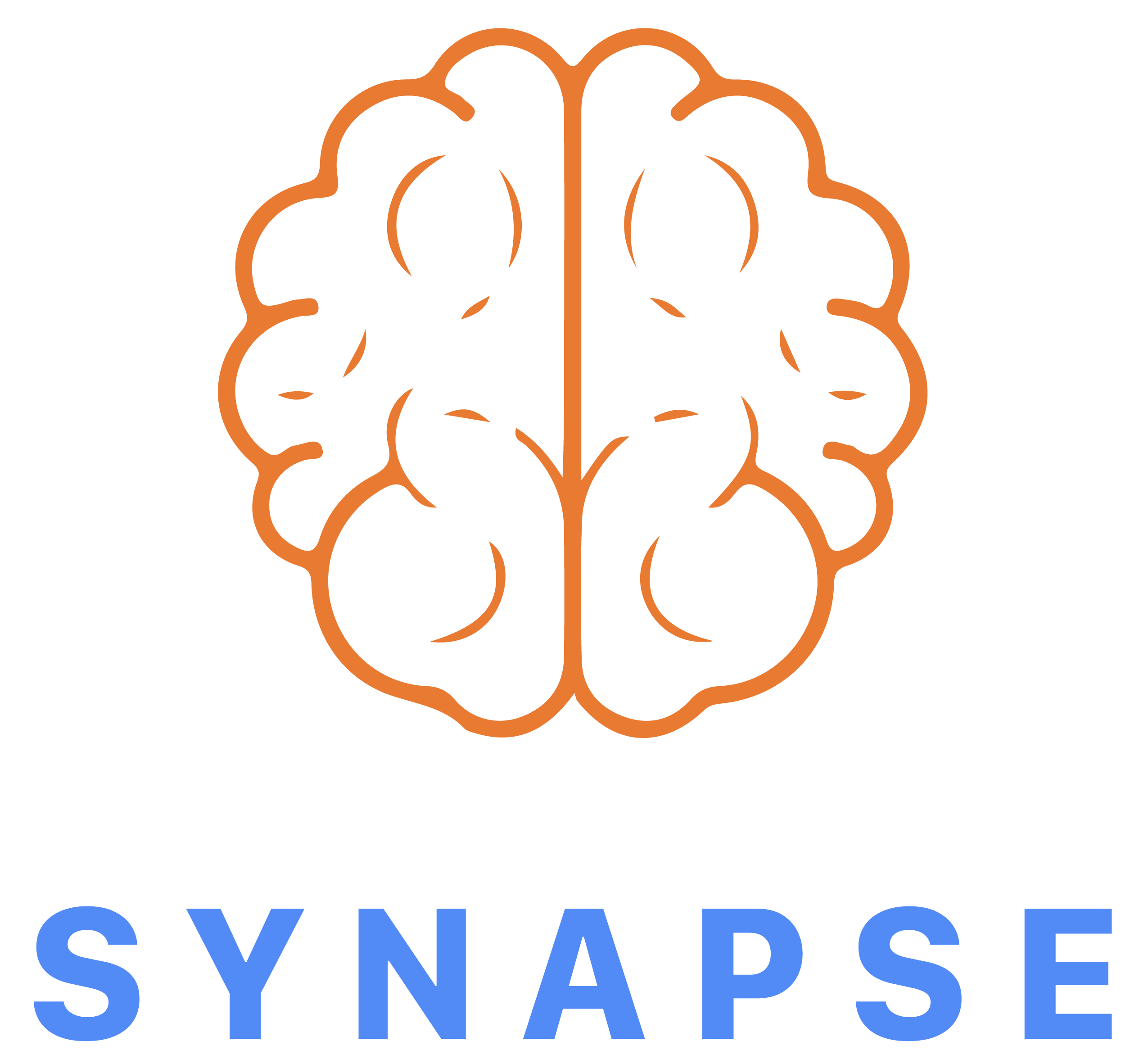synapse-color.png