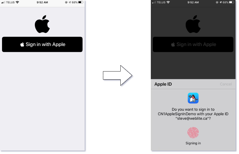 Sign-in with Apple demo screenshot
