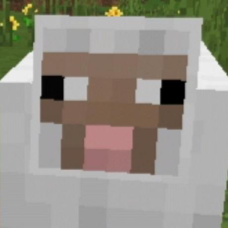 sheep-programmer