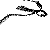 siimplex