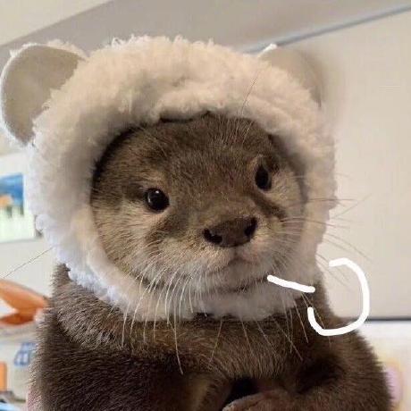 silverhi