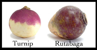rutabaga-vs-turnip.jpg