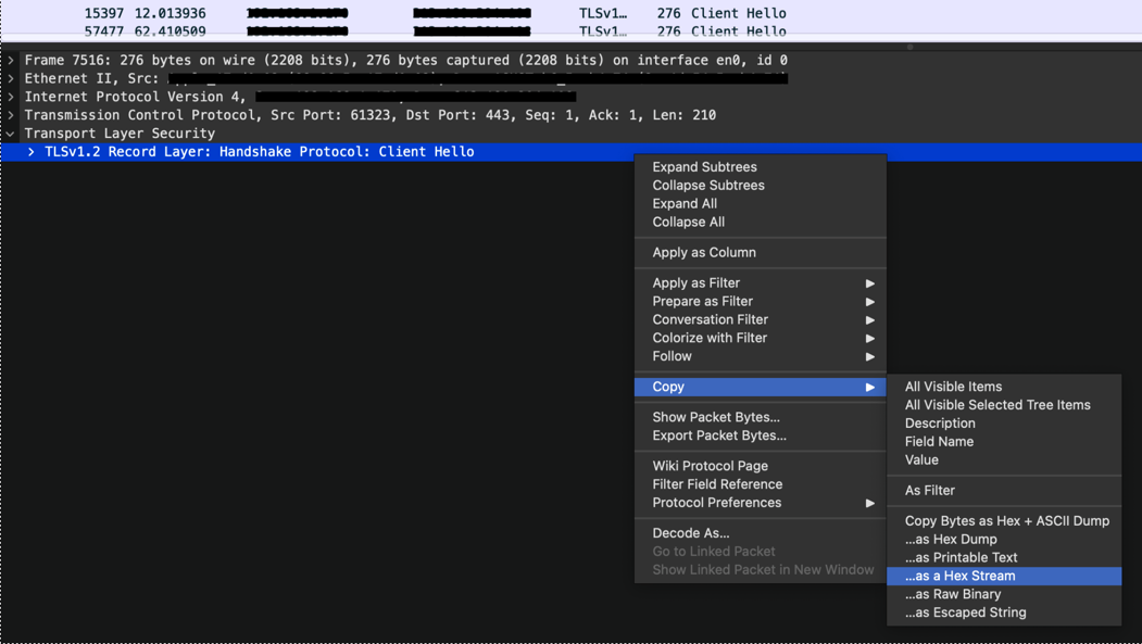 wireshark_capture_client_hello.png