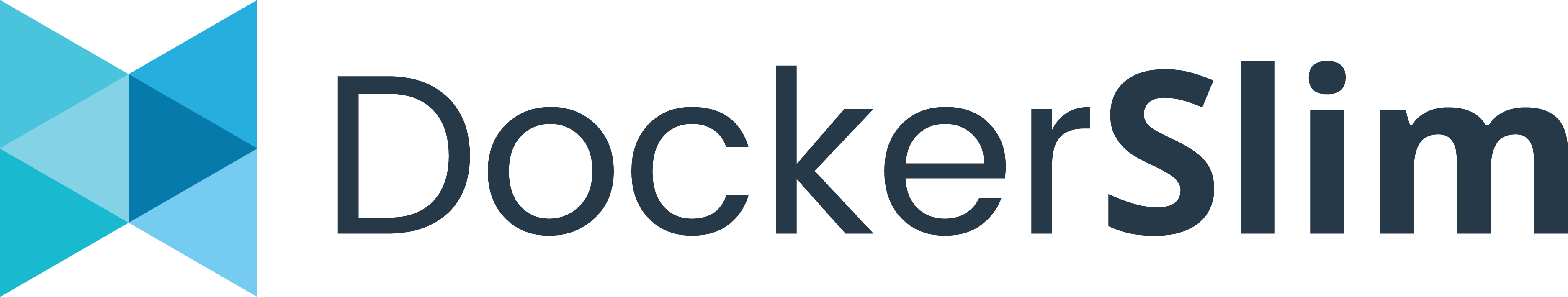 DockerSlimLogo1Big.png