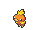 Torchic