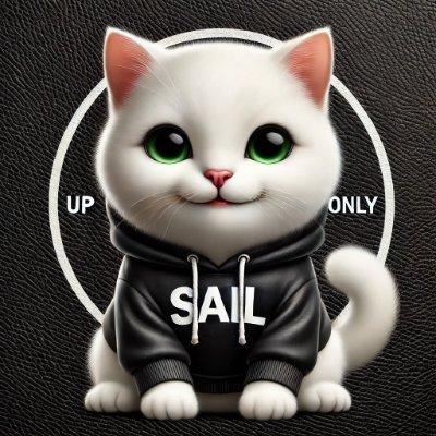 solanasail