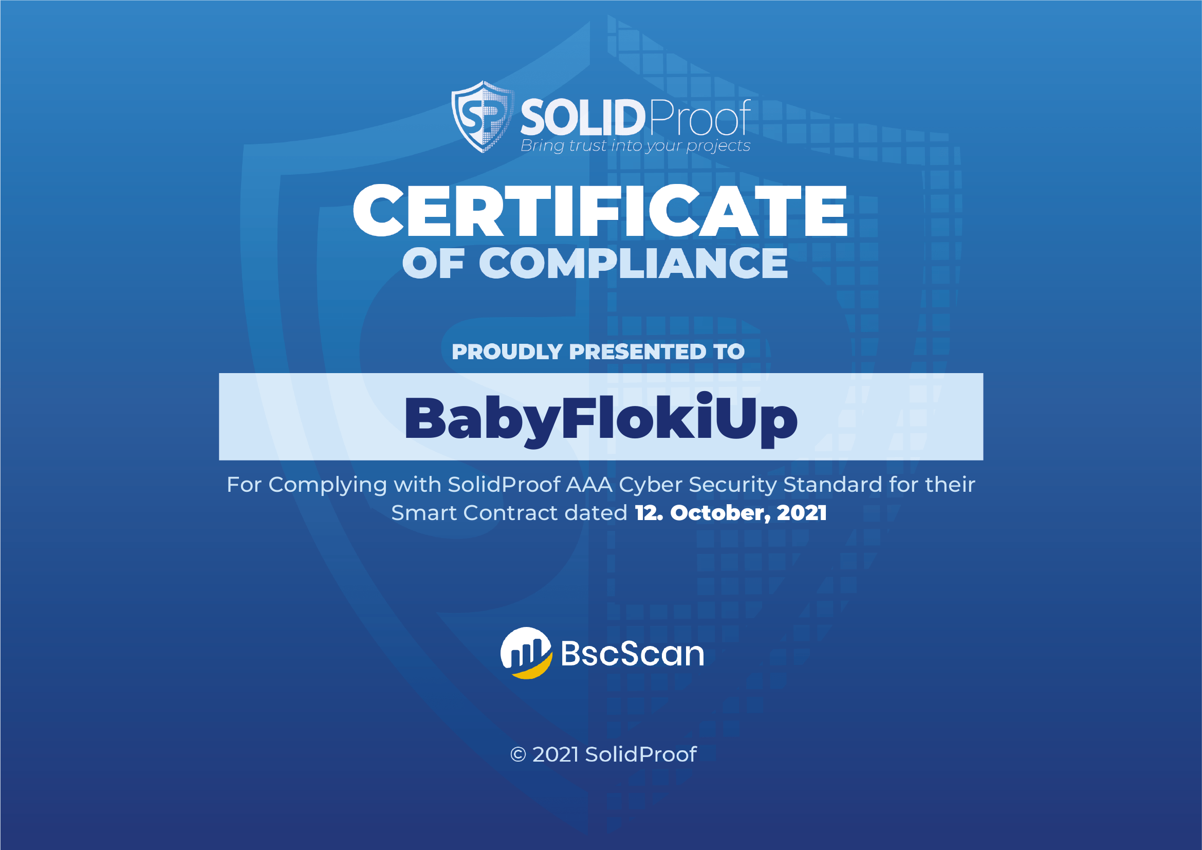 Audit_Certificate_BabyFlokiUp.png