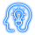 solvo-dev