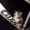 mcp-atlassian GitHub avatar