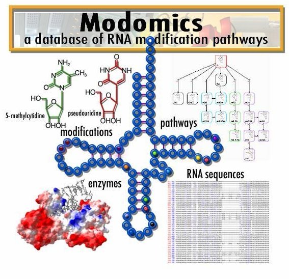 modomics.jpg