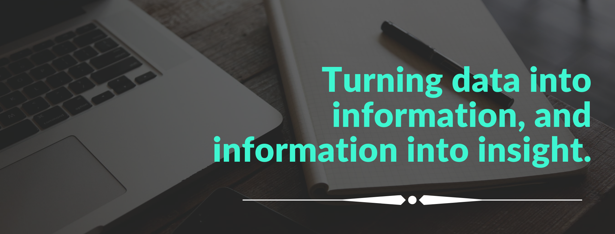 Turning data into information, and information into insight..png