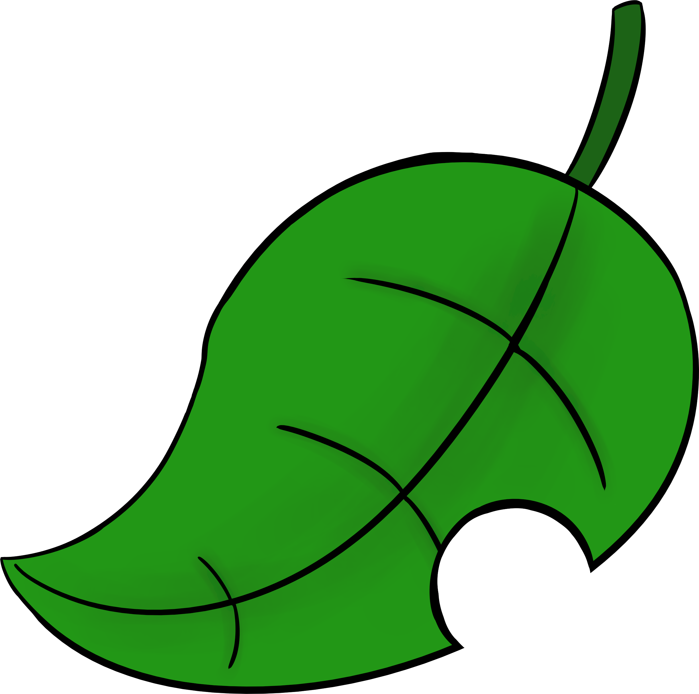 leaf.png