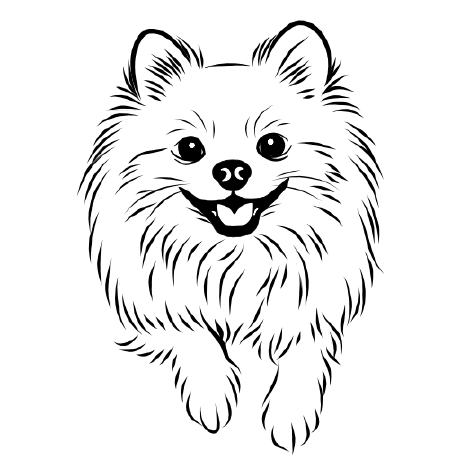 spitzlab