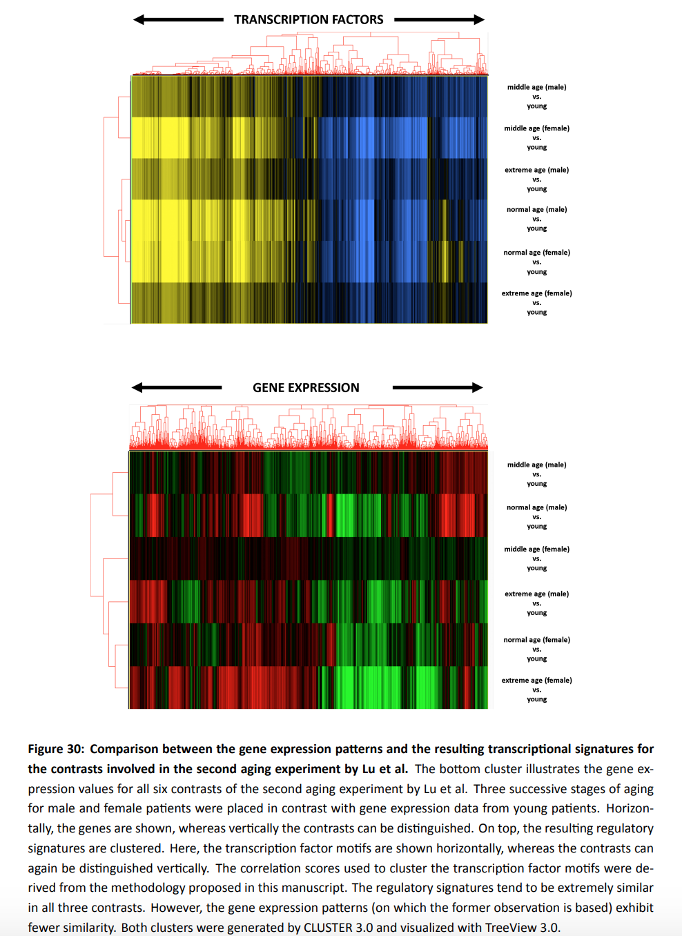 cluster_analysis_example.png