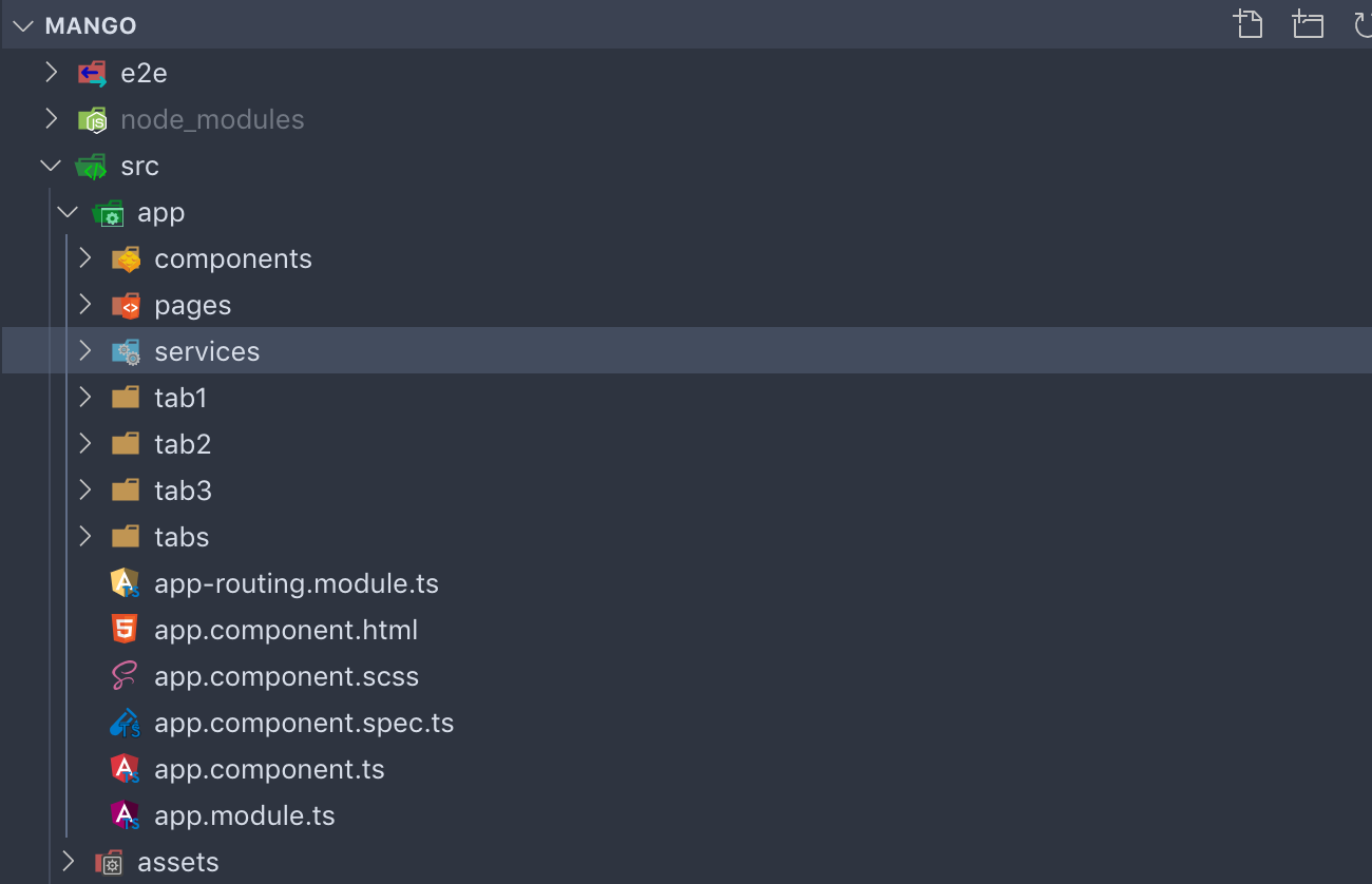 Ionic 5 and Angular 8 Create project structure 