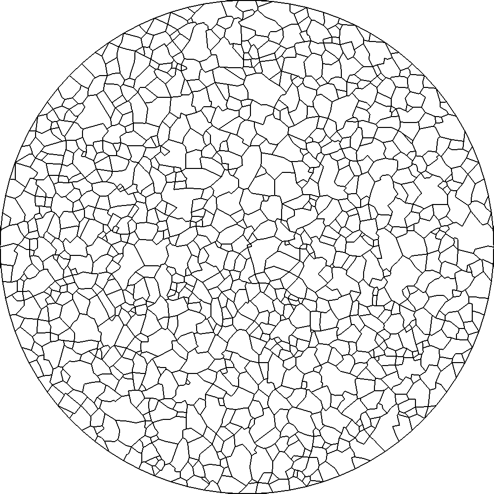 2x2RPDisk_3000_poly_1000.png