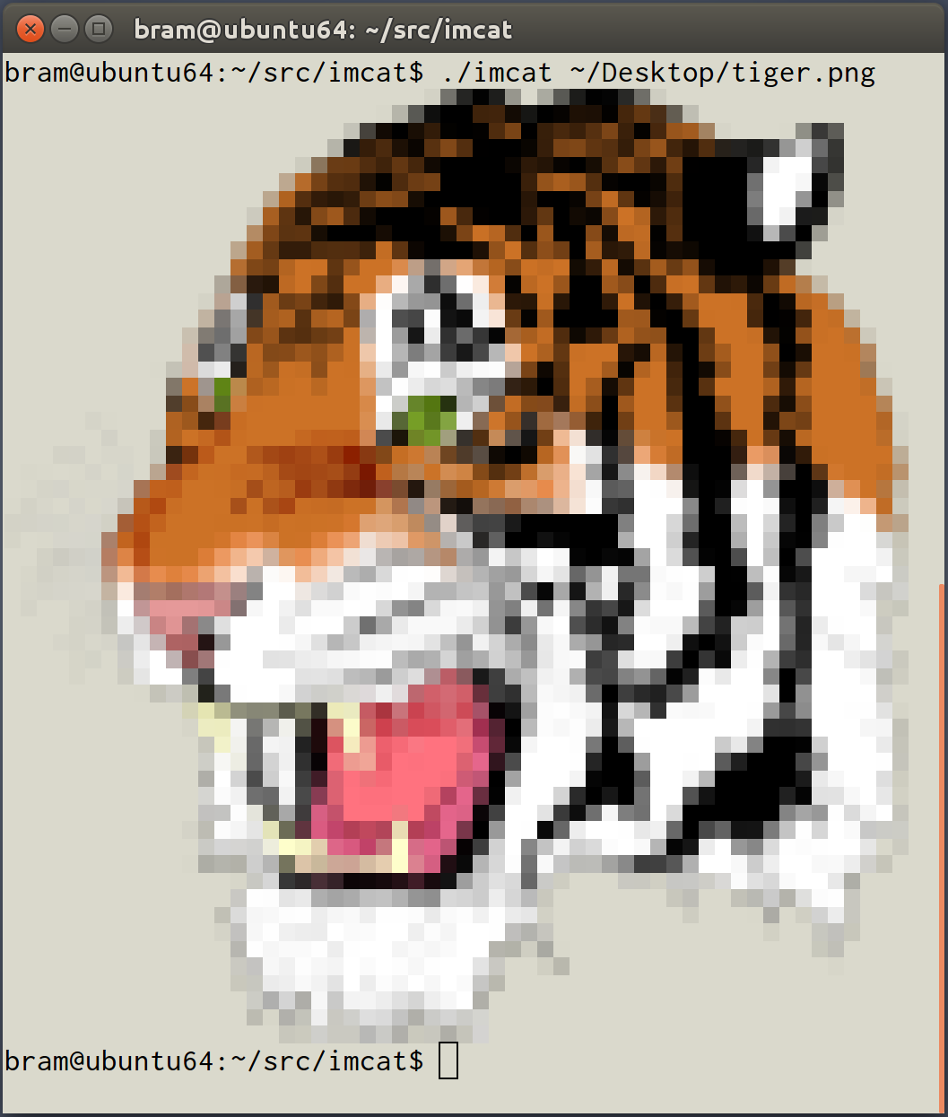 imcat_tiger.png