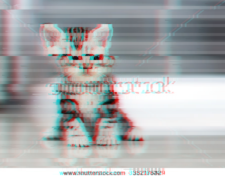 kitten_glitch.png