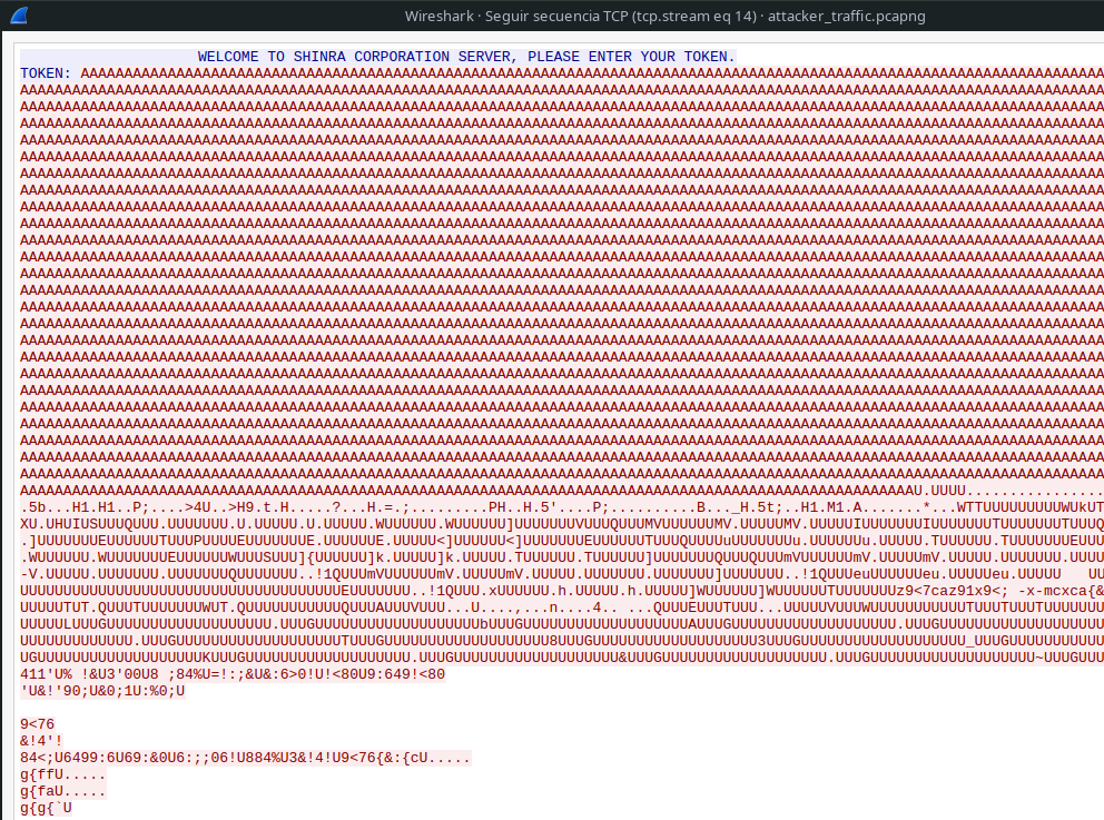 PCAP Buffer Overflow exploitation.