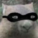 suiwombat