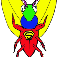 superbug