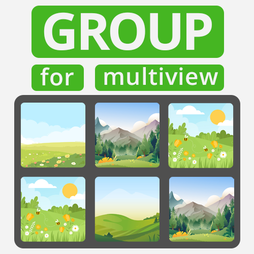 Group Images for Multiview Labeling