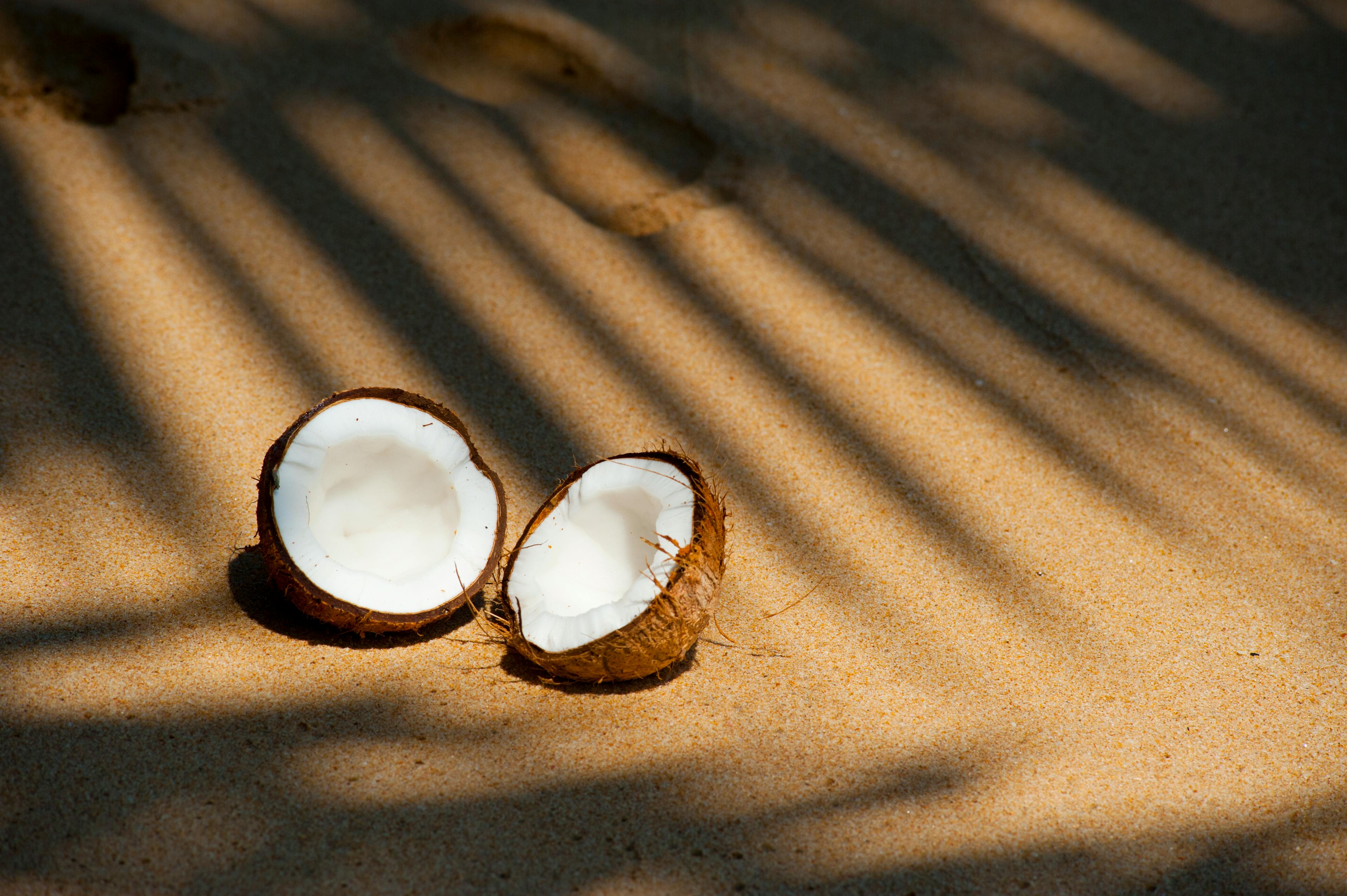 Chant Coco for Coconuts
