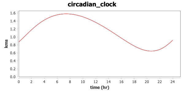 circadian_clock_1