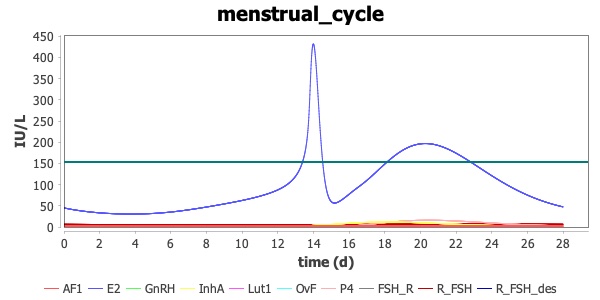 menstrual_cycle_2