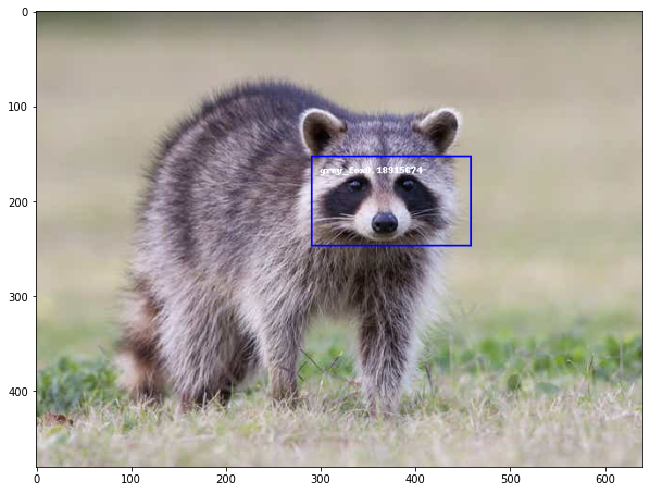 raccoon_pred.png