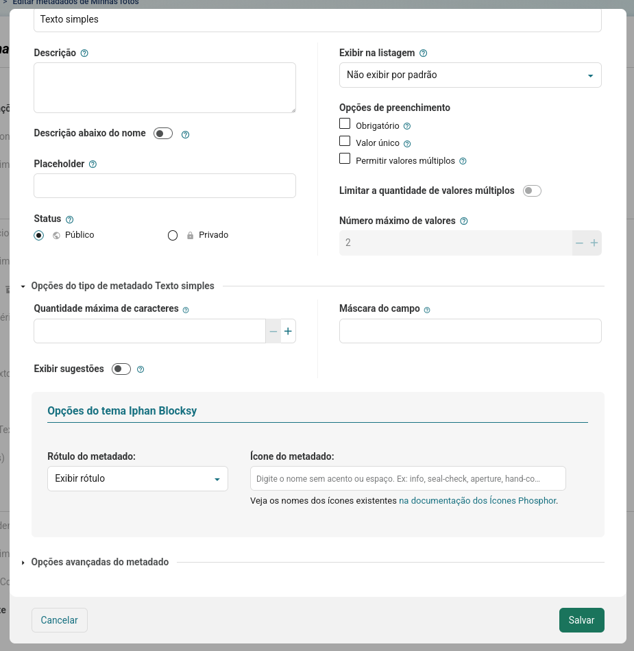 Captura de tela do modal de edição de um metadado
