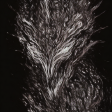 takyon236 avatar