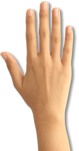 hand.png