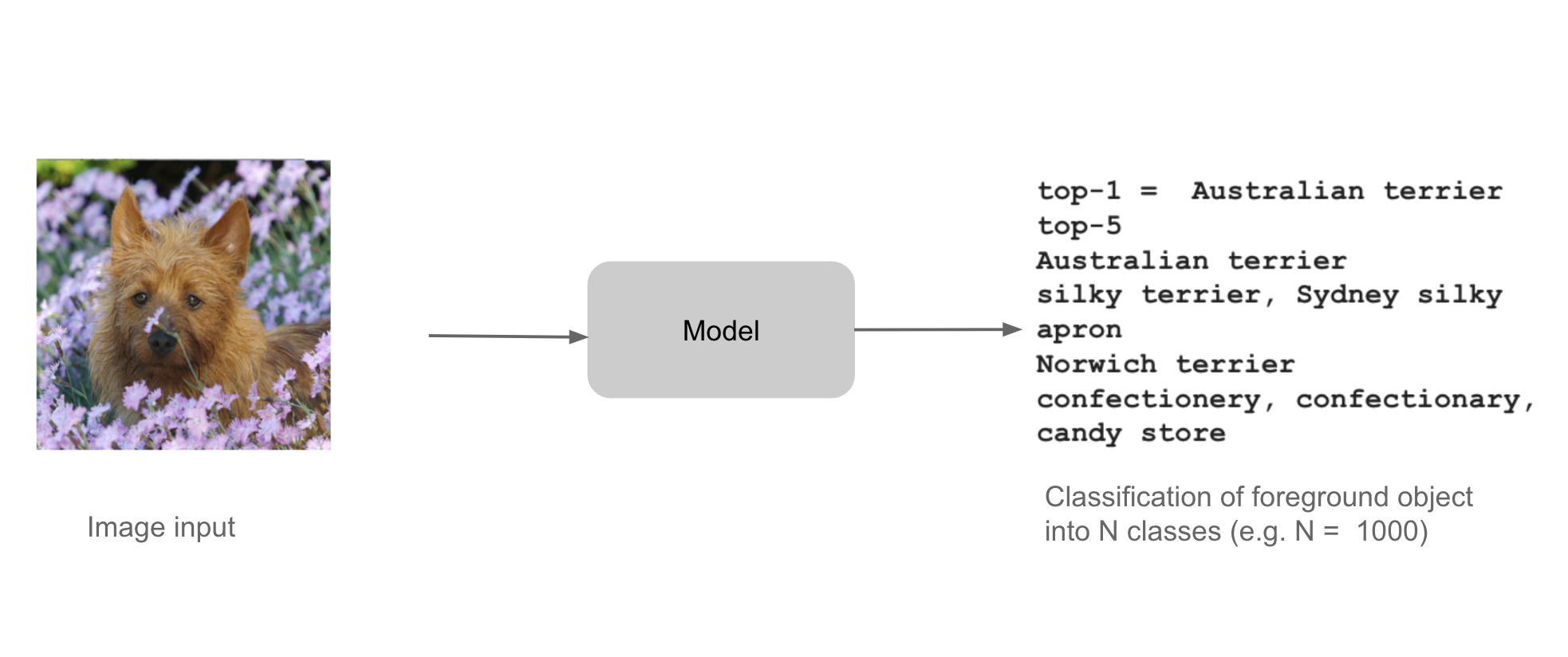 SingleObjectClassification.png