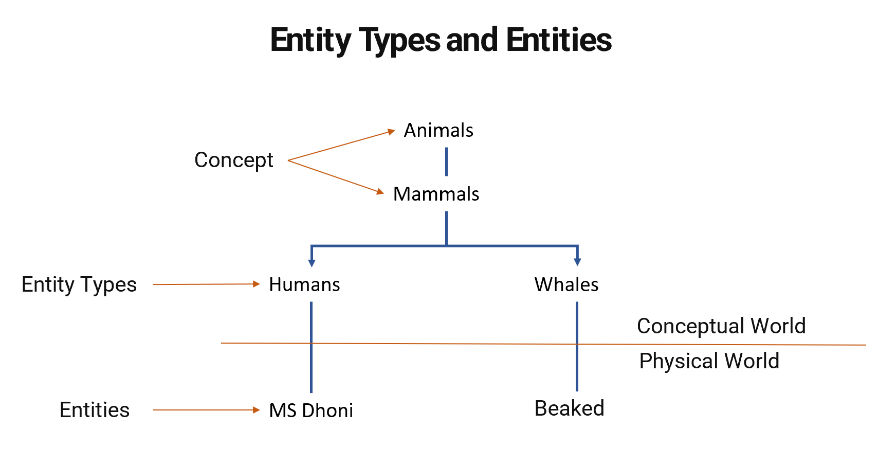 Entity types and entities