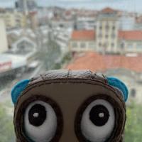tedkimdev