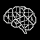 temporal-cortex