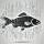 tench-rt