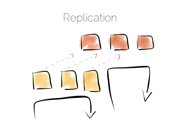 replication.jpg