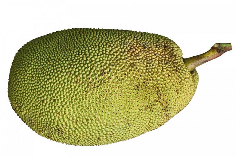 jackfruit.jpg