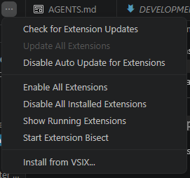 Install from VSIX option in the extensions panel