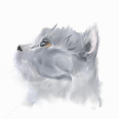 cccz avatar