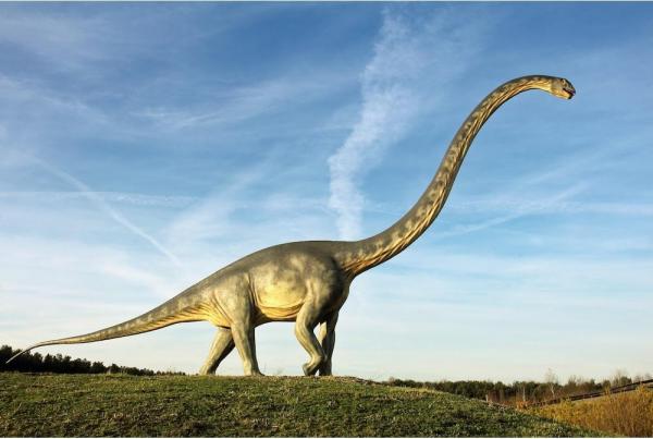 brachiosaurus1.jpg