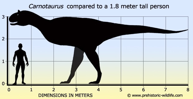 carnotaurus comparision.jpg