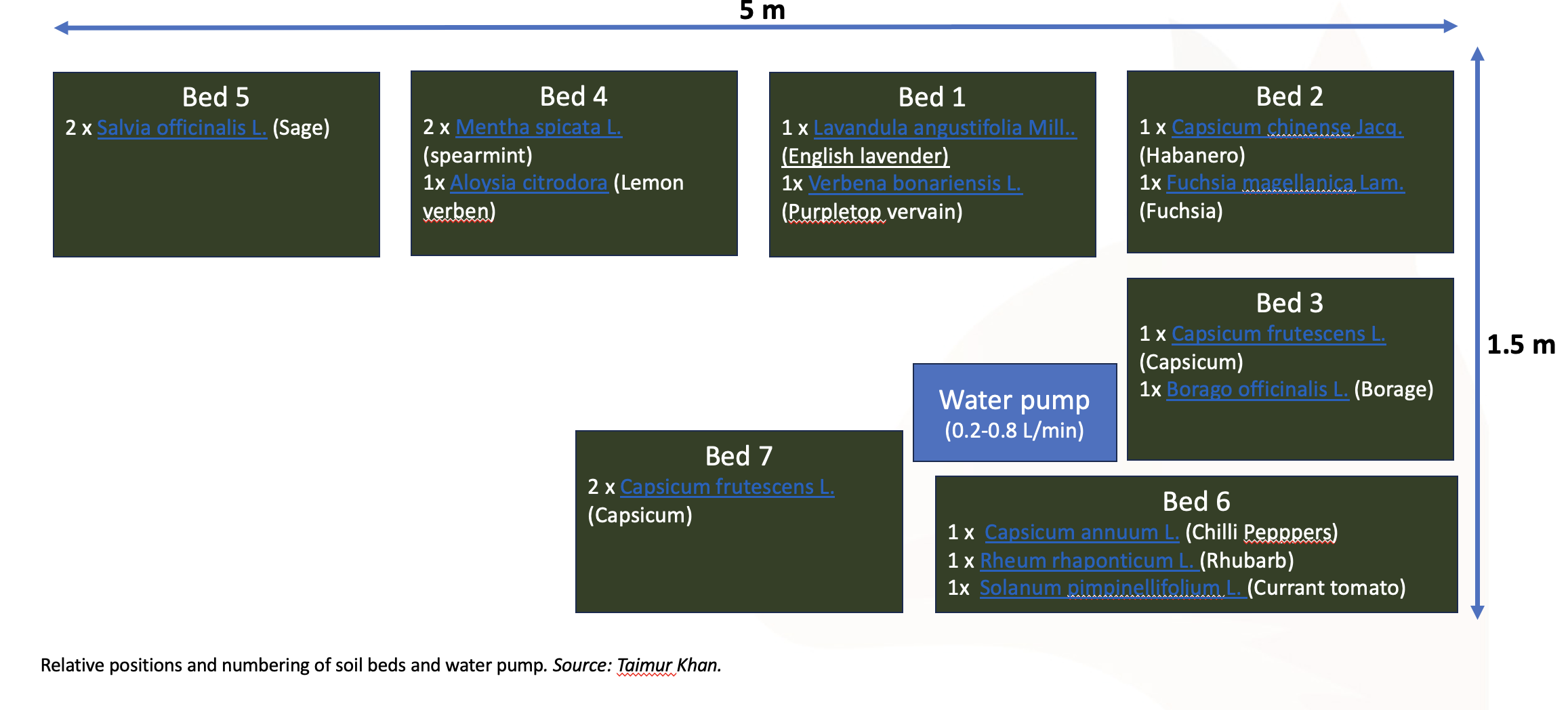 soilbeds.png